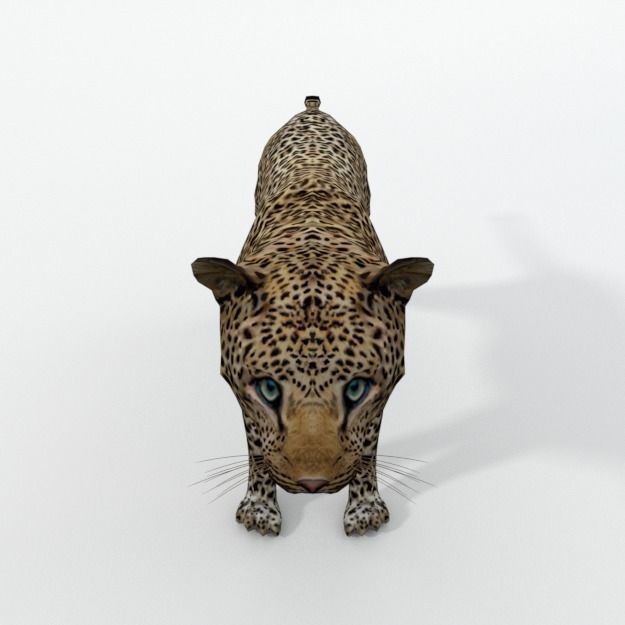 Leopard Low-poly 3D model_3