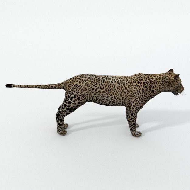 Leopard Low-poly 3D model_2