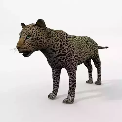 Leopard Low-poly 3D model