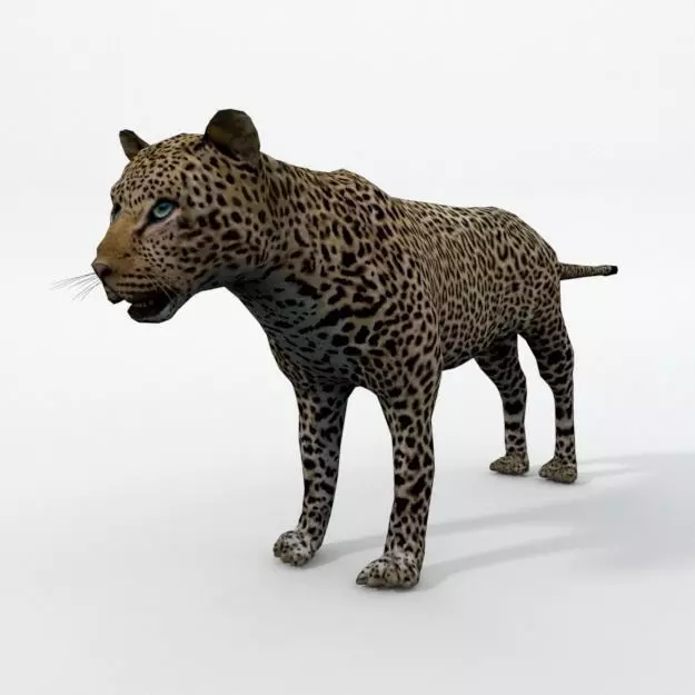 Leopard Low-poly 3D model_0