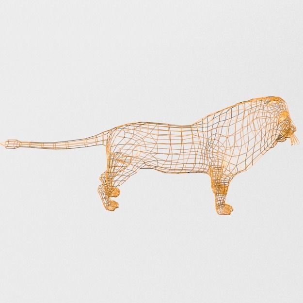 Lion Safari Low-poly 3D model_6