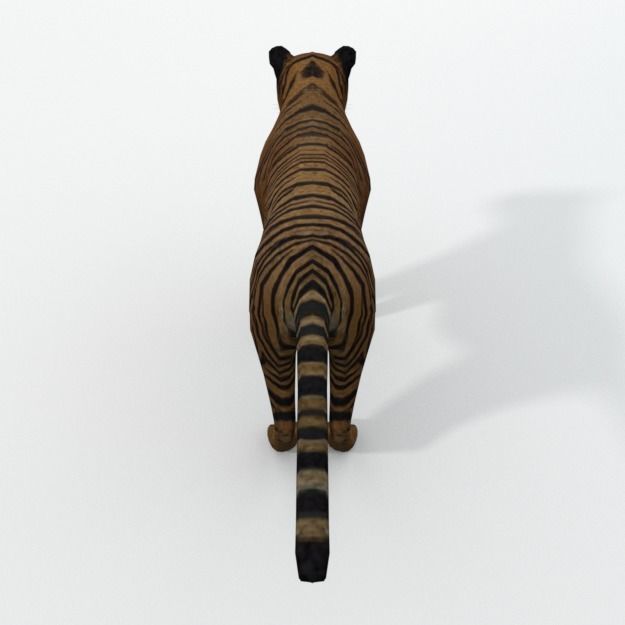 Tiger Low-poly 3D model_3