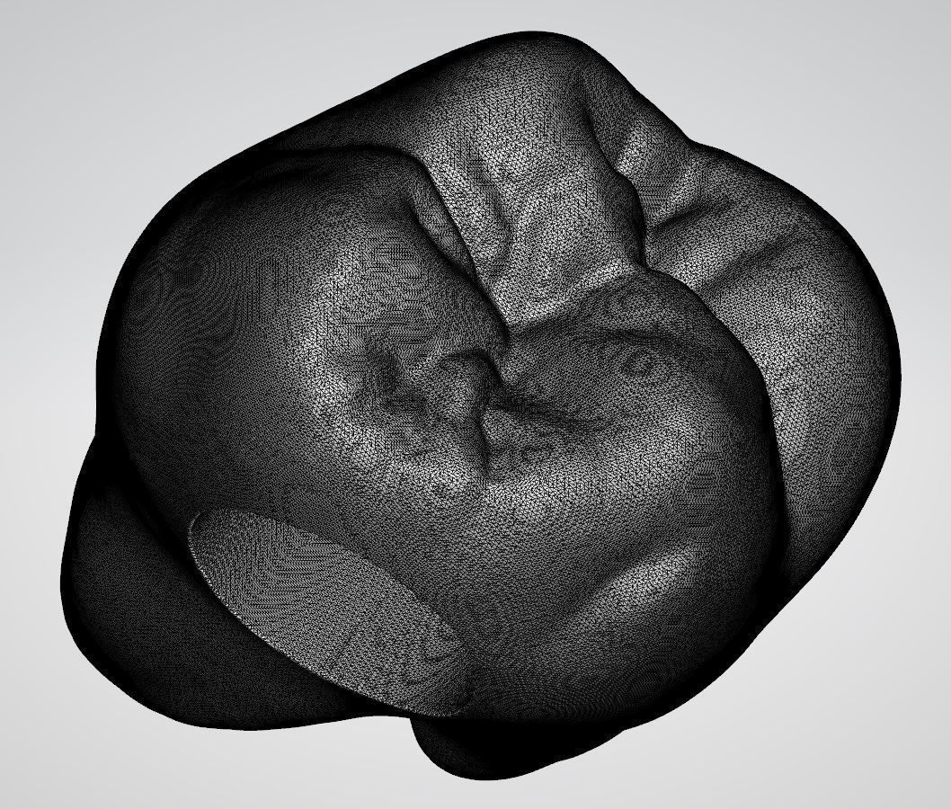 Pandora tooth charm 3D model_3