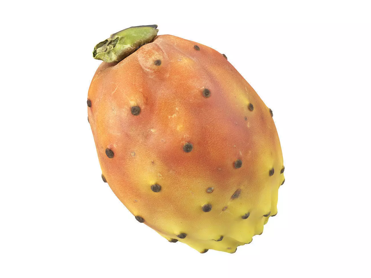 Photorealistic Prickly Pear 3D Scan 3D model_0