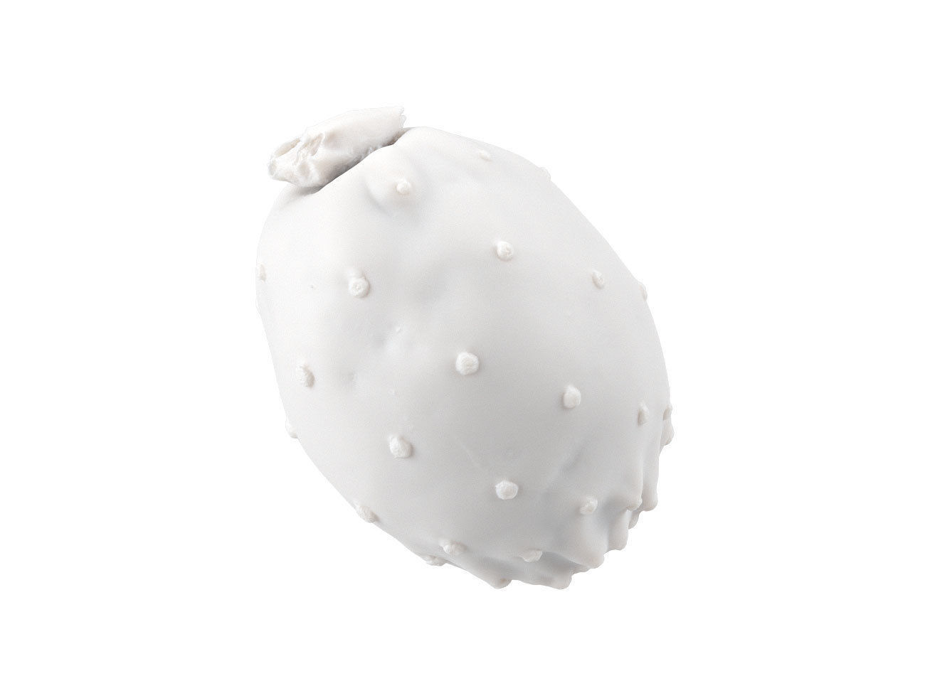 Photorealistic Prickly Pear 3D Scan 3D model_6