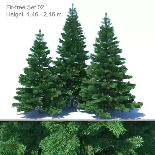 Fir-tree Set 02
