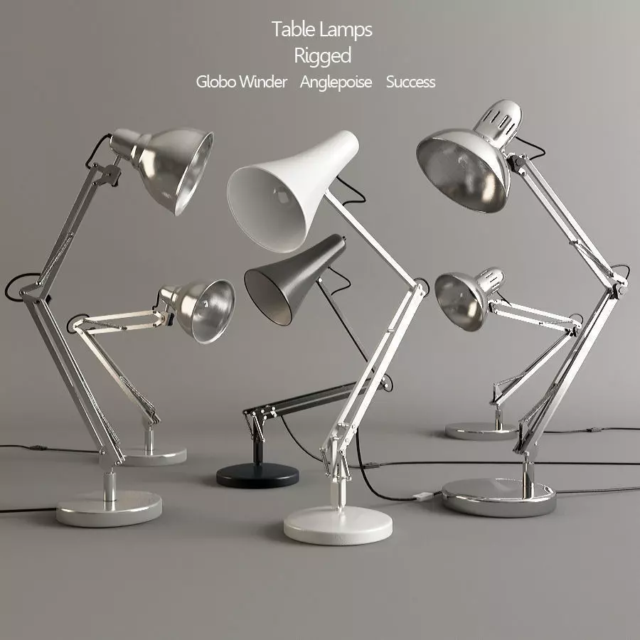 Lamps Set Rigged 3D model