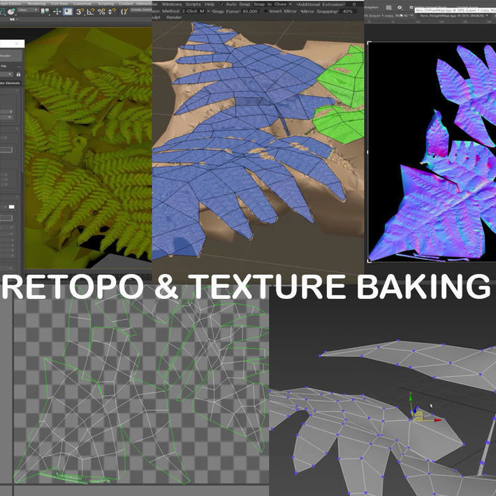 3Dcoat retopology of a photogrammetry fern model and texture baking in ...