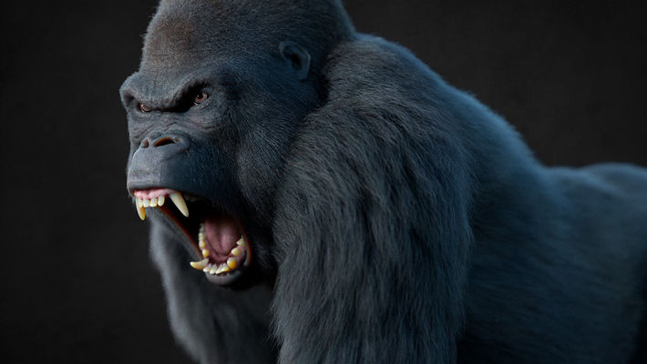 Massimo Righi: Breathing Life into the Animal Kingdom, One Polygon at a Time 1