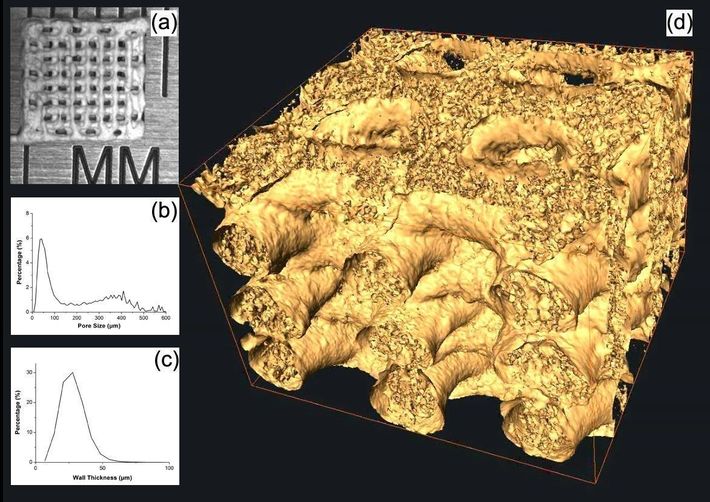 3D Printing in Medicine: How Technology Will Save Your Life 11